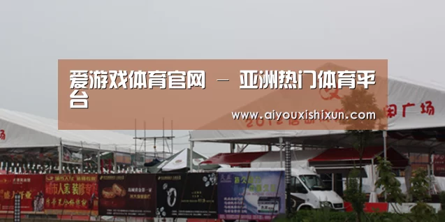案例标题十