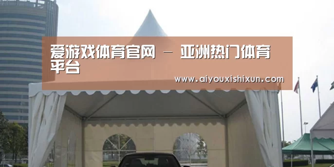 案例标题八