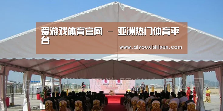 案例标题三