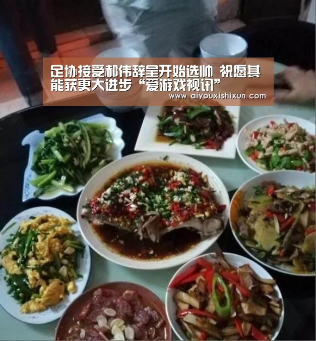 足协接受郝伟辞呈开始选帅 祝愿其能获更大进步“爱游戏视讯”(图4) 爱游戏平台