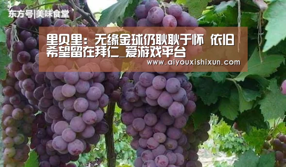 里贝里:无缘金球仍耿耿于怀 依旧希望留在拜仁_爱游戏平台(图2) 爱游戏赛事