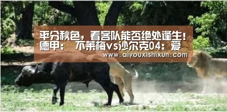 平分秋色，看客队能否绝处逢生！德甲： 不莱梅vs沙尔克04：爱游戏赛事