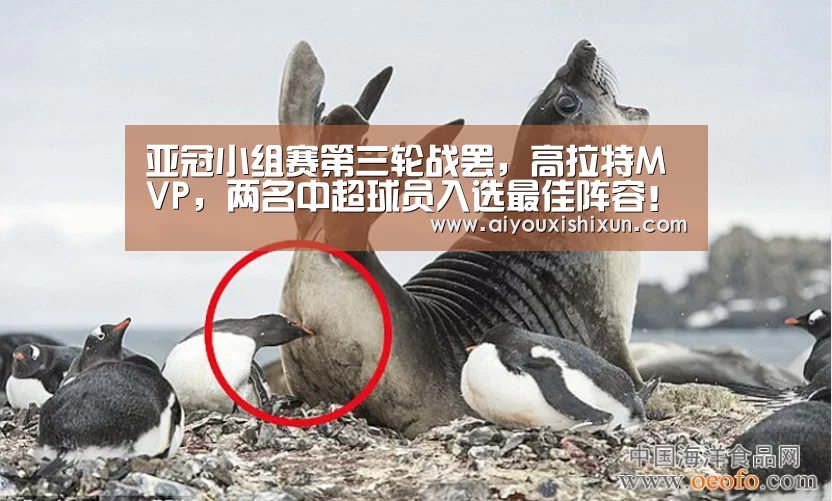 亚冠小组赛第三轮战罢,高拉特MVP,两名中超球员入选最佳阵容!“爱游戏APP”(图3) 爱游戏APP