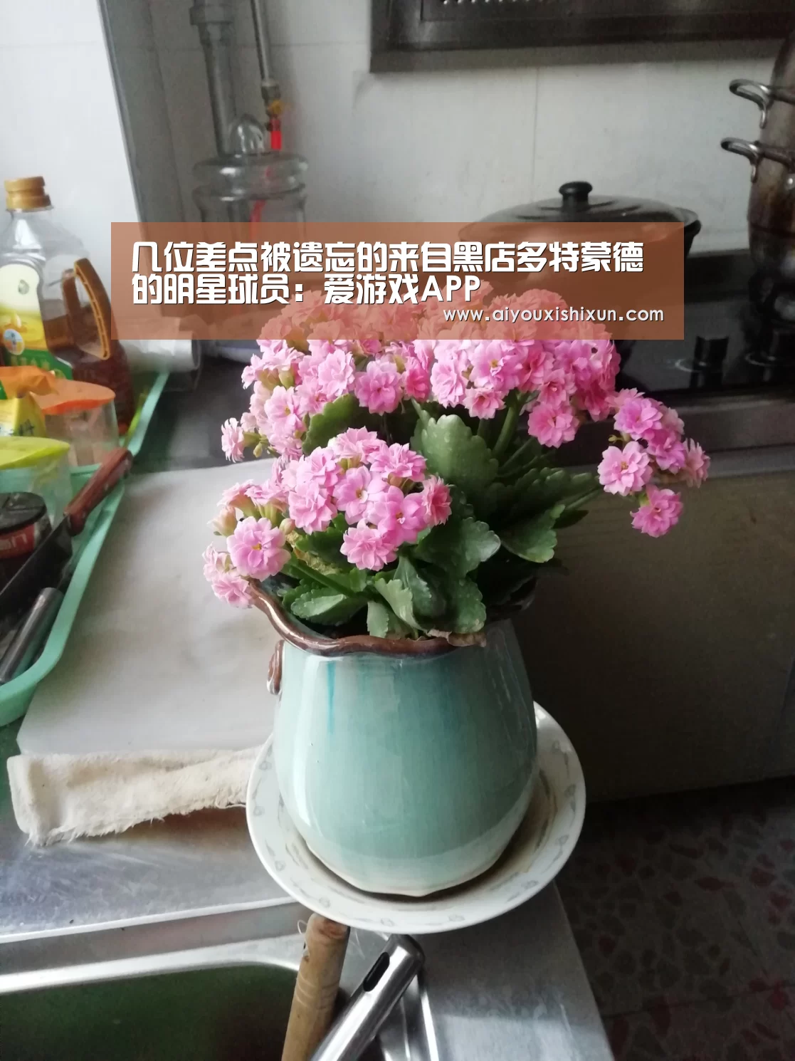 几位差点被遗忘的来自黑店多特蒙德的明星球员:爱游戏APP(图2) 爱游戏平台